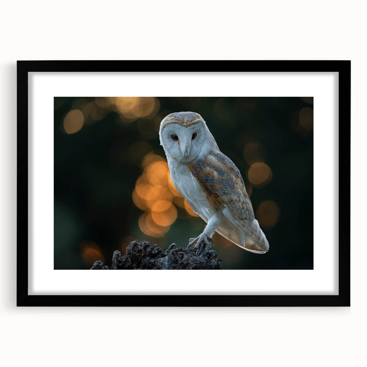 Framed wall art featuring a "Birds of Prey" design in a sleek black frame with a mat, showcasing vibrant colors and intricate details, perfect for nature lovers.