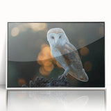 Framed acrylic wall art featuring a vibrant birds of prey design, showcasing intricate details and vivid colors against a crisp white background, ideal for home decor.