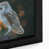 Framed canvas wall art showcasing a detailed close-up of vibrant birds in flight, emphasizing rich colors and intricate designs, perfect for home decor enthusiasts.