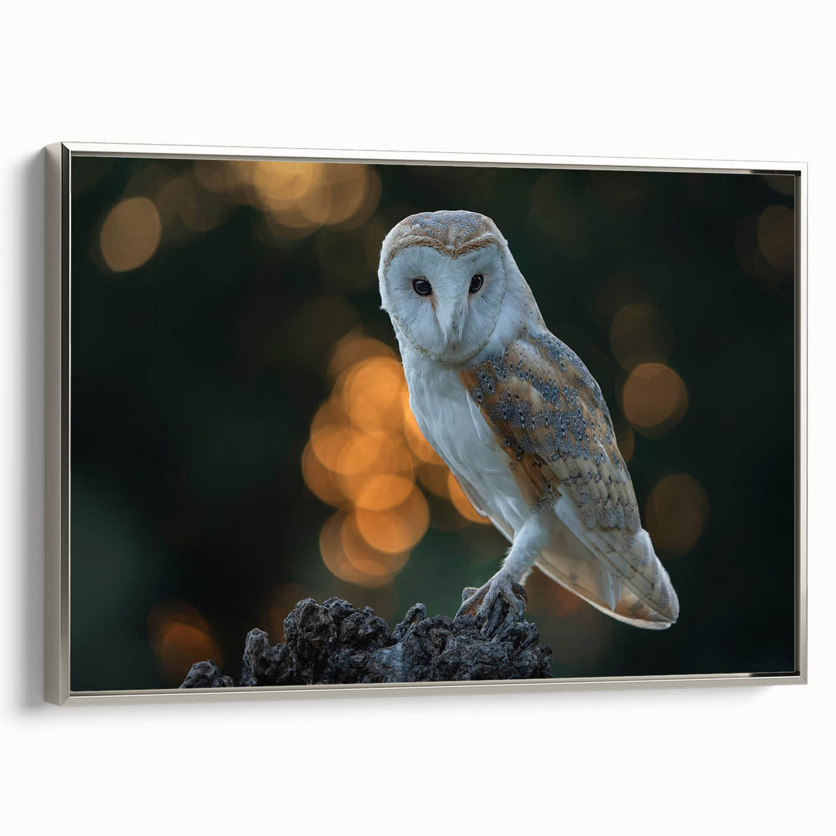 Framed canvas wall art showcasing a stunning birds of prey design, featuring intricate details and a sleek silver frame, perfect for enhancing modern home decor.