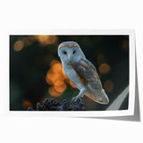 Colorful rolled print showcasing a vibrant birds of prey design, featuring realistic illustrations of various raptors, ideal for nature enthusiasts and home decor.