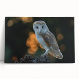 Stretched canvas wall art featuring a vibrant birds of prey design, showcasing intricate details and rich colors, perfect for enhancing home decor.