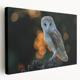 Stretched canvas wall art featuring a vibrant "Birds of Pray" design, showcasing colorful birds in flight. Ideal for nature lovers, adds a dynamic touch to decor.