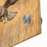 Close-up of a vibrant acrylic glass wall art piece showcasing a colorful birds of prey design, perfect for enhancing home decor with nature-inspired elegance.