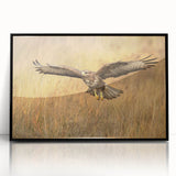 Framed acrylic wall art depicting a striking bird design from the "Birds of Pray" collection, featuring a sleek black frame and vibrant colors, perfect for modern decor.