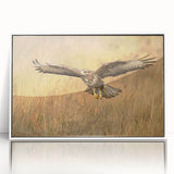 Framed acrylic wall art featuring a vibrant bird design from the "Birds of Pray" collection, showcasing a white frame that enhances the colorful artwork, perfect for modern decor.