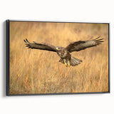 Framed wall art featuring a vibrant birds of prey design, showcasing intricate details and rich colors, set against a black background for striking contrast.