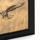 Framed canvas wall art showcasing vibrant bird illustrations from the "Birds of Prey" collection, highlighting intricate details and rich colors in a modern design.