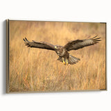 Framed wall art featuring a stylish birds-of-prey design on canvas, showcasing intricate details and a gold frame, perfect for elegant home decor.