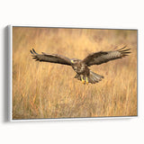 Framed canvas wall art from the "Birds of Prey" collection, showcasing a stunning side view of intricately designed birds against a white background, perfect for modern decor.