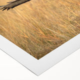 Colorful rolled canvas wall art showcasing a vibrant bird design, perfect for home decor, featuring intricate details and a textured finish, ideal for nature lovers.