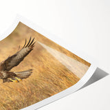 Colorful wall art featuring a stylized bird design from the Birds of Pray collection, showcasing vibrant hues and intricate details, rolled for easy display.