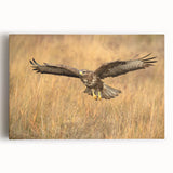 Stretched canvas wall art featuring a vibrant and detailed bird design, showcasing colorful feathers and intricate patterns, perfect for home decor.