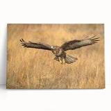 Stretched canvas wall art depicting a majestic bird of prey in flight, showcasing vibrant colors and intricate details, perfect for nature-themed decor.