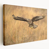 Stretched canvas wall art featuring a vibrant birds of prey design, showcasing detailed illustrations of various raptors in rich colors, ideal for nature enthusiasts.