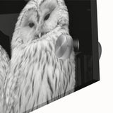 Close-up of a vibrant acrylic glass wall art piece featuring a stylized bird design from the "Birds of Pray" collection, perfect for modern home decor.