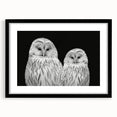 Black-framed wall art featuring a vibrant birds of prey design, showcasing detailed illustrations of majestic raptors against a neutral background, perfect for nature enthusiasts.