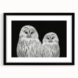 Black-framed wall art featuring a vibrant birds of prey design, showcasing detailed illustrations of majestic raptors against a neutral background, perfect for nature enthusiasts.