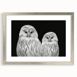 Framed wall art from the "Birds of Pray" collection, showcasing intricate bird designs in vibrant colors with a sleek silver frame and white matting, perfect for modern decor.