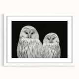 Framed wall art featuring a vibrant birds of prey design in a white mat, showcasing intricate details and colors, ideal for enhancing home decor.