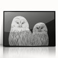 Framed acrylic wall art showcasing a vibrant birds of prey design, featuring intricate details and a sleek black frame, ideal for modern decor.