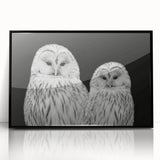 Framed acrylic wall art showcasing a vibrant birds of prey design, featuring intricate details and a sleek black frame, ideal for modern decor.