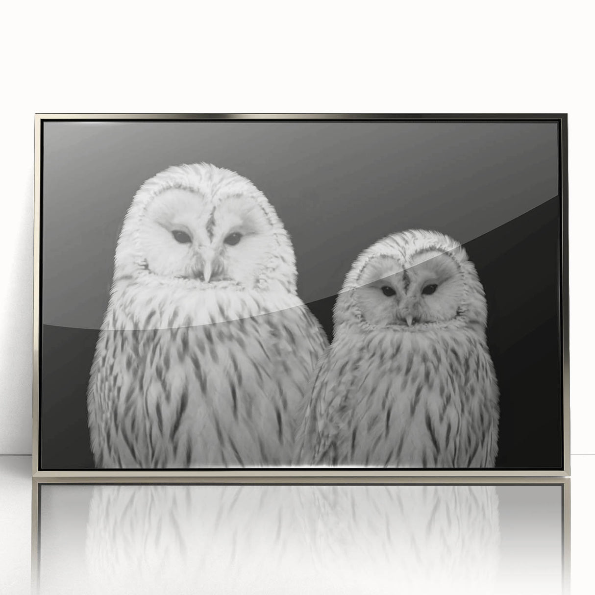 Framed wall art featuring a collection of vibrant birds in flight, designed with intricate details and a silver acrylic frame, perfect for home decor.
