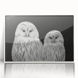 Framed acrylic wall art featuring a vibrant birds of prey design with a white border, perfect for adding a contemporary touch to home decor. Ideal for bird lovers and art enthusiasts.
