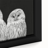 Framed canvas wall art showcasing a vibrant bird design with intricate details, perfect for home decor, set against a modern backdrop.