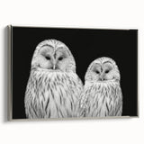 Framed canvas wall art featuring a vibrant birds of prey design, showcasing detailed illustrations with a silver frame, set against a light background for a modern look.