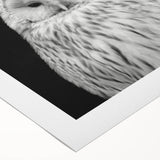 Vibrant rolled canvas artwork showcasing a detailed design of various birds, perfect for nature-themed home decor. The colorful print emphasizes intricate feather patterns and a serene background, ideal for adding a touch of wildlife elegance to any room.