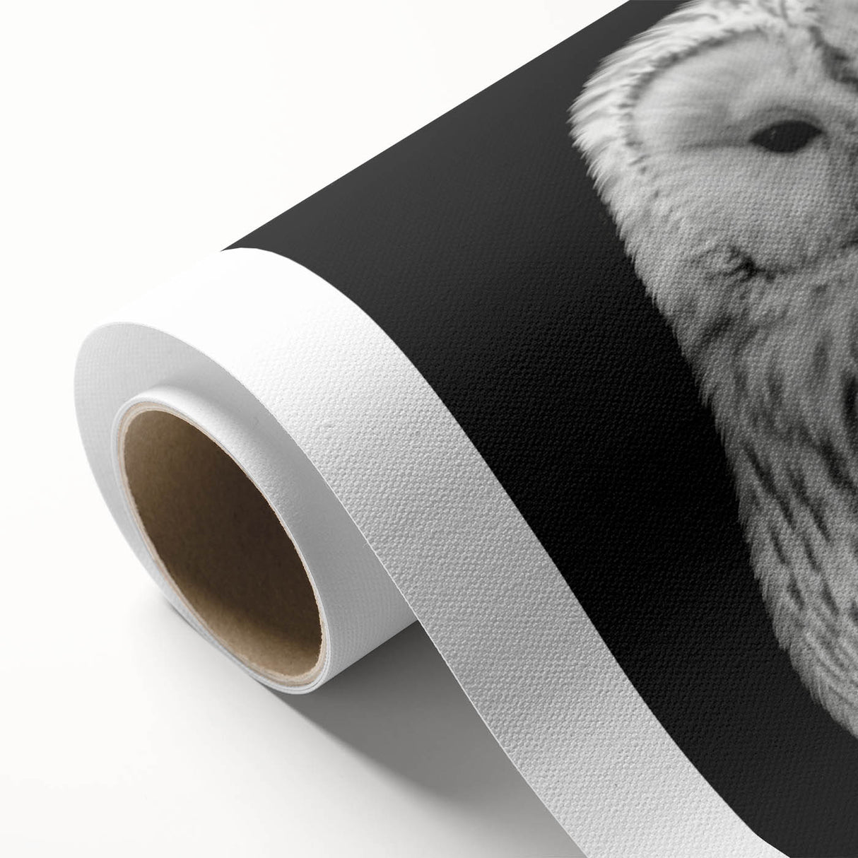 Colorful rolled canvas artwork showcasing an intricate design of birds, perfect for enhancing home decor. Ideal for bird lovers and nature enthusiasts, this piece is packaged securely for delivery.