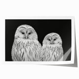 Colorful wall art print featuring a design of various birds, showcasing intricate details and vibrant hues, ideal for enhancing home decor or art collections.