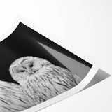 Colorful wall art print featuring a vibrant design of birds, showcasing intricate details and textures, rolled and ready for display in modern home decor.