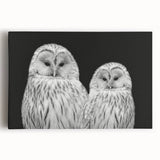 Vibrant stretched canvas wall art featuring a striking birds-of-prey design with intricate details and rich colors, perfect for nature enthusiasts and home decor.