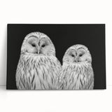 Stretched canvas wall art featuring a vibrant design of birds in flight, showcasing intricate details and rich colors, perfect for home decor and nature enthusiasts.