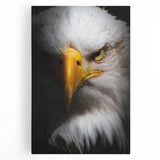 Stretched canvas wall art featuring a vibrant design of colorful birds in flight, showcasing intricate details and textures, ideal for home decor.