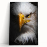 Stretched canvas wall art featuring a vibrant birds of prey design in rich colors, leaning against a neutral wall, ideal for home decor enthusiasts.