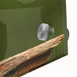 Close-up of a vibrant acrylic glass wall art piece depicting a colorful bird design, showcasing intricate details and textures, perfect for home decor.