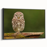 Framed canvas wall art showcasing a vibrant design of birds in flight, featuring a black frame and side view display, perfect for home decor enhancement.