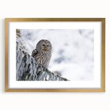 Elegant wall art featuring a gold-framed design of birds, ideal for home decor, showcasing intricate details and vibrant colors in a stylish presentation.