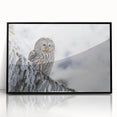 Framed wall art featuring a striking design of birds of prey in vibrant colors, set against a sleek black frame, perfect for home decor and wildlife enthusiasts.