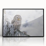 Framed wall art featuring a striking design of birds of prey in vibrant colors, set against a sleek black frame, perfect for home decor and wildlife enthusiasts.