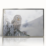 Framed acrylic wall art featuring a striking birds of prey design in silver, showcasing intricate details and vibrant colors, perfect for home decor.
