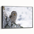 Framed wall art featuring a striking design of birds of prey, showcasing intricate details and vibrant colors on canvas with a sleek black frame, ideal for nature enthusiasts.