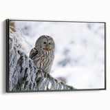 Framed wall art featuring a striking design of birds of prey, showcasing intricate details and vibrant colors on canvas with a sleek black frame, ideal for nature enthusiasts.