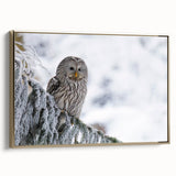 Framed wall art featuring a striking gold-accented design of birds in flight, showcasing intricate details and vibrant colors, ideal for home decor enhancement.