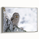 Framed wall art showcasing a silver side view design of birds in flight, highlighted by intricate details and vibrant colors, perfect for modern decor.