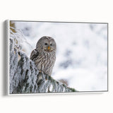 Framed wall art featuring a modern design of birds in flight, showcasing vibrant colors against a white background. Ideal for home decor and nature enthusiasts.