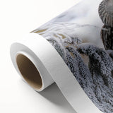 Vibrant rolled canvas artwork showcasing a colorful birds of prey design, featuring intricate details and textures, ideal for enhancing home decor.